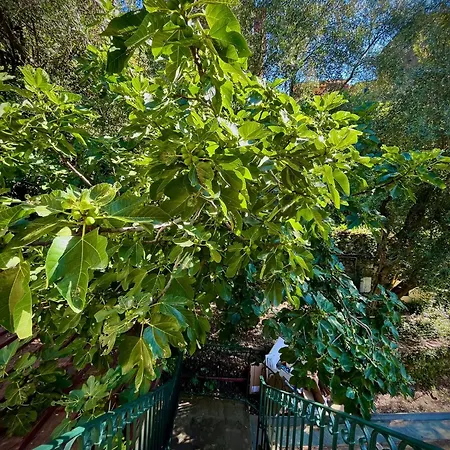 Prázdninový dům Casa Olive 53 Monte