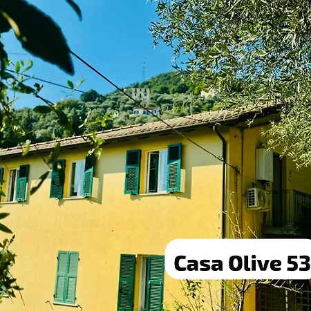 Casa Olive 53 Monte *