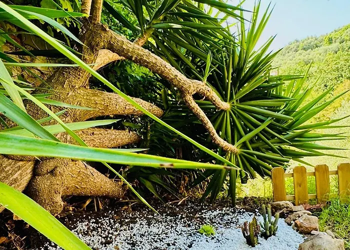 Casa Olive 53 Monte Будинок відпочинку