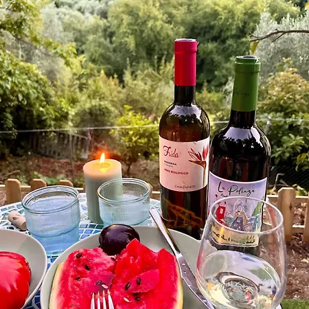 Casa Olive 53 Monte Vakantiehuis *