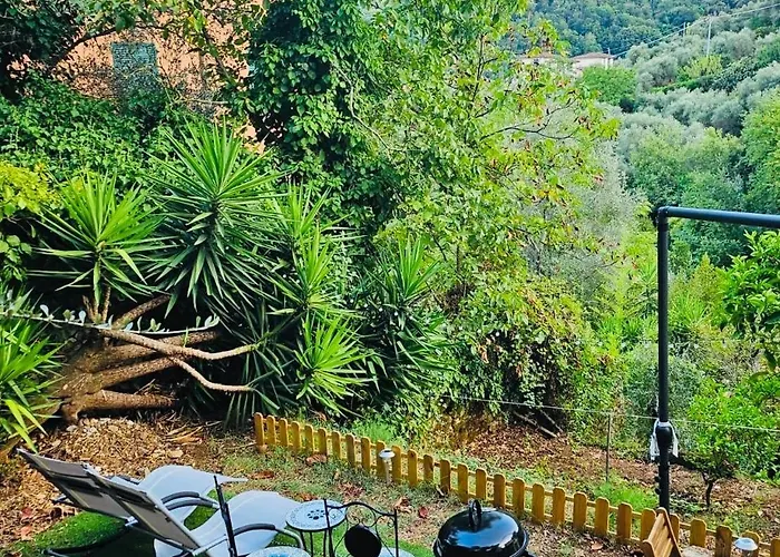 Casa Olive 53 Monte Holiday home *